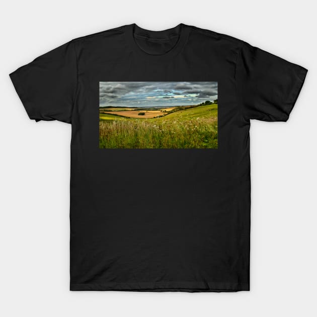 Summer Evening Near Aldworth in Berkshire T-Shirt by IanWL